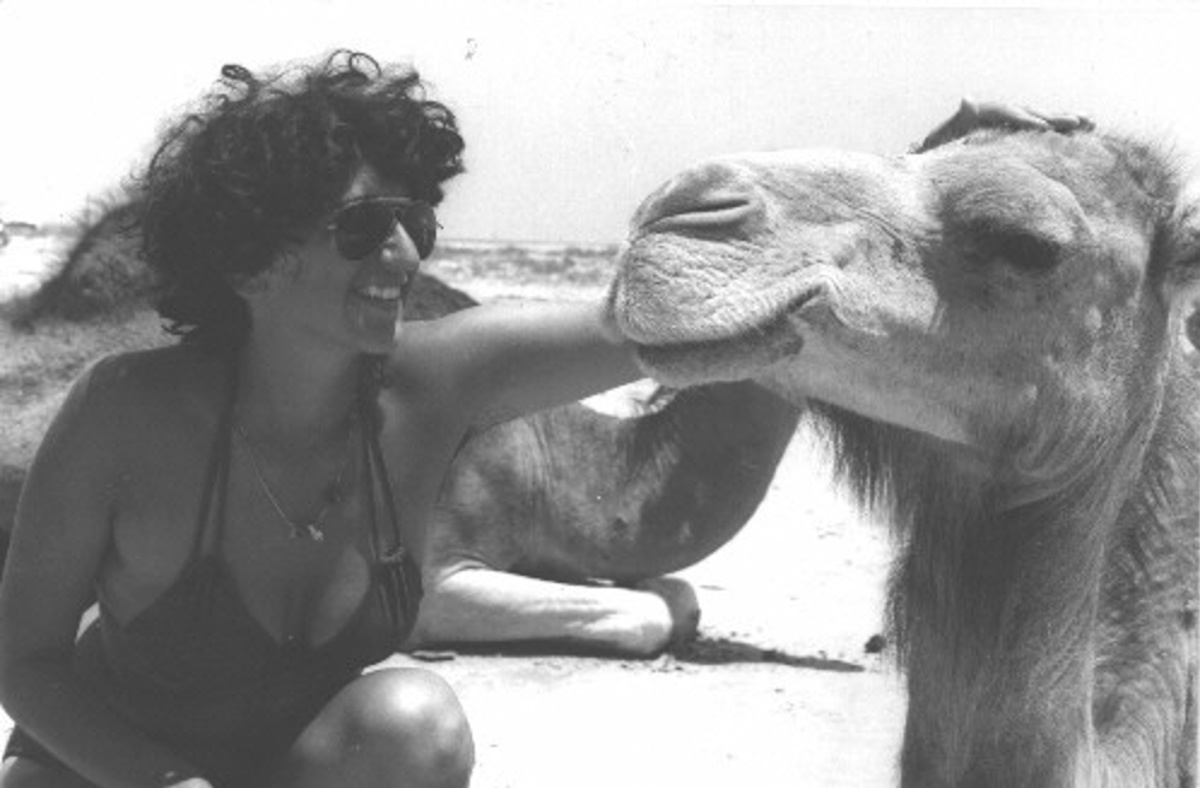sahara la donna e il camel